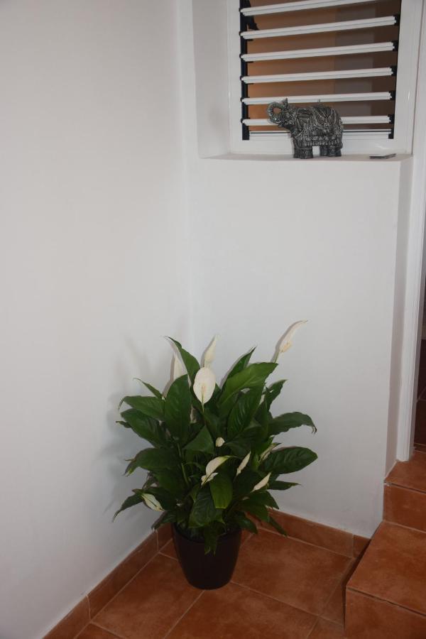 Garoe Acogedor Apartamento Araya  Exterior photo