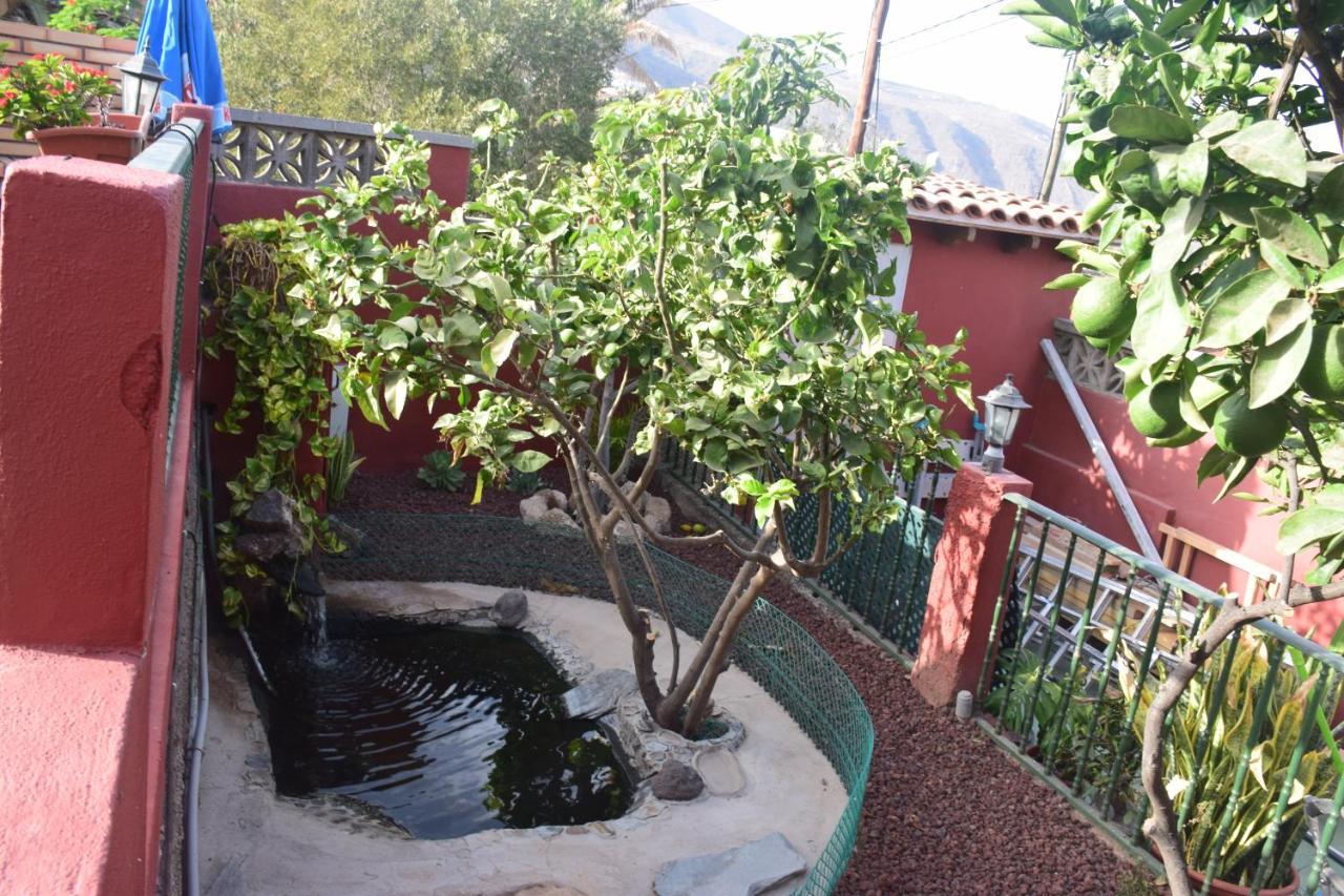 Garoe Acogedor Apartamento Araya  Exterior photo